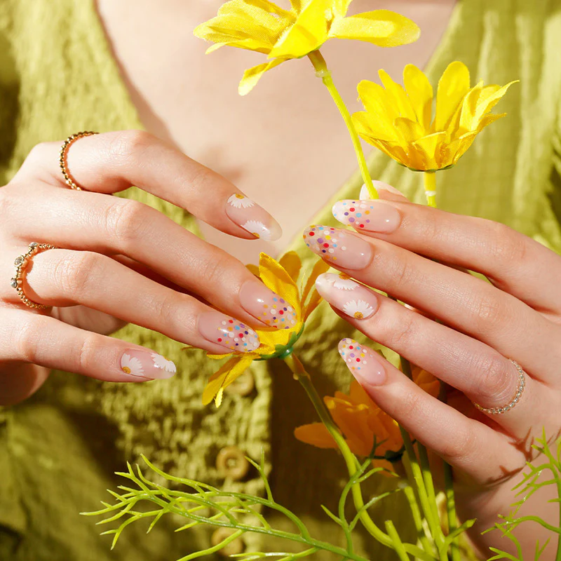Daisy Gel - Image 4
